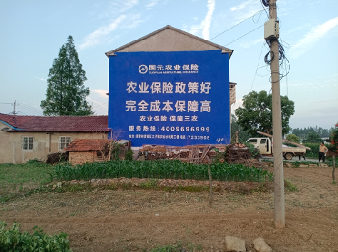 大新墙体广告为何受追捧？